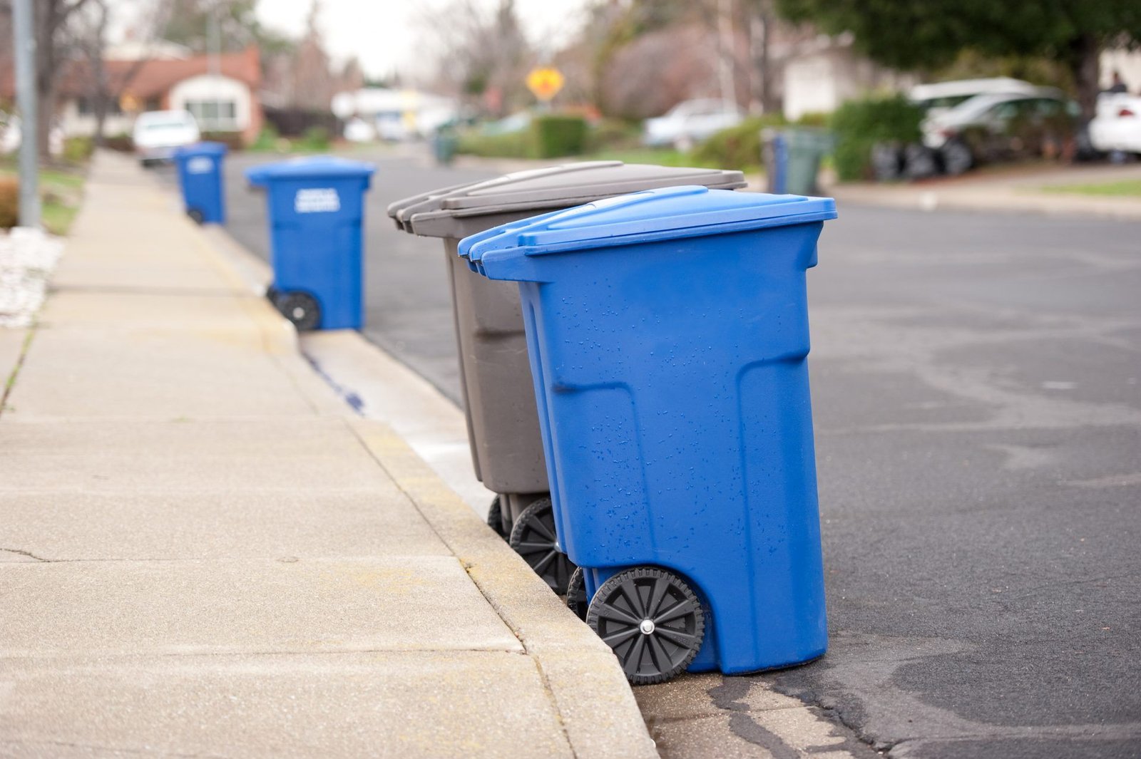 Residential Dumpster